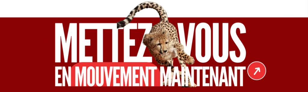 Almarita coaching-professionnel Almarita coach-professionnel-bordeaux