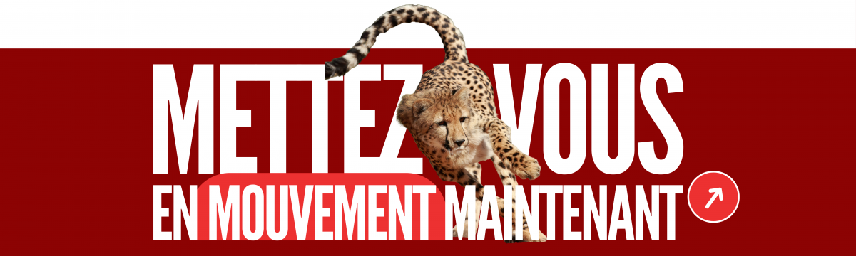 Almarita coaching-professionnel Almarita coach-professionnel-bordeaux